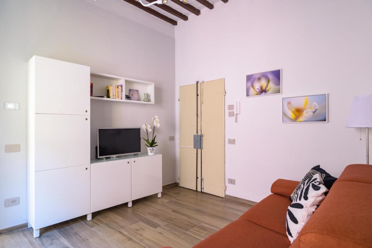 Pisa Art Apartment Exterior foto